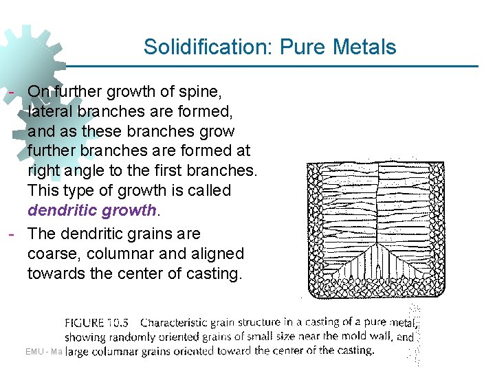 Solidification: Pure Metals - On further growth of spine, lateral branches are formed, and Solidification: Pure Metals - On further growth of spine, lateral branches are formed, and