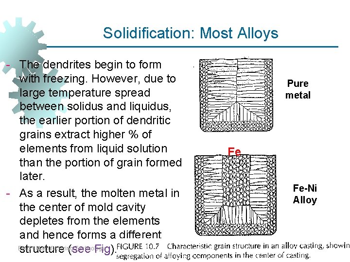 Solidification: Most Alloys - The dendrites begin to form with freezing. However, due to Solidification: Most Alloys - The dendrites begin to form with freezing. However, due to