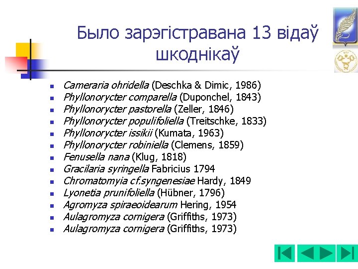 Было зарэгістравана 13 відаў шкоднікаў n n n n Cameraria ohridella (Deschka & Dimic,