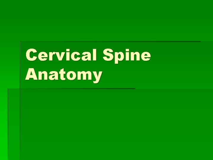 Cervical Spine Anatomy 