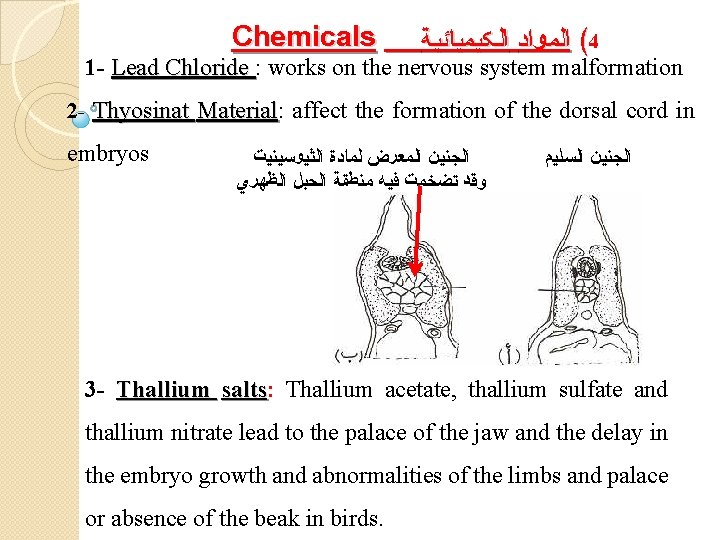 Chemicals ( ﺍﻟﻤﻮﺍﺩ ﺍﻟﻜﻴﻤﻴﺎﺌﻴﺔ 4 1 - Lead Chloride : works on the nervous