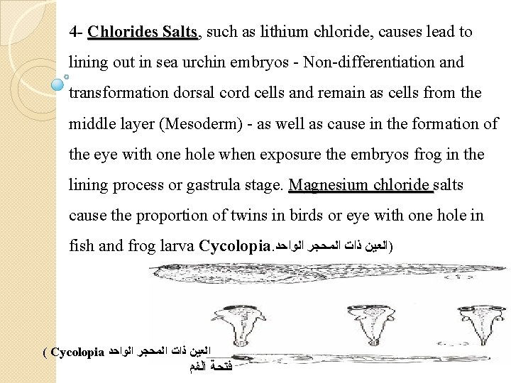 4 - Chlorides Salts, Salts such as lithium chloride, chloride causes lead to lining