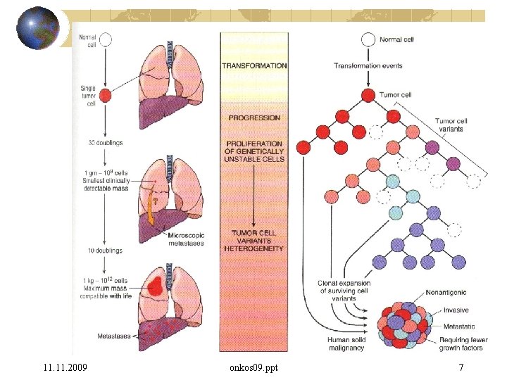 11. 2009 onkos 09. ppt 7 