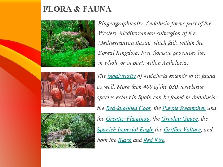 FLORA & FAUNA Biogeographically, Andalusia forms part of the Western Mediterranean subregion of the