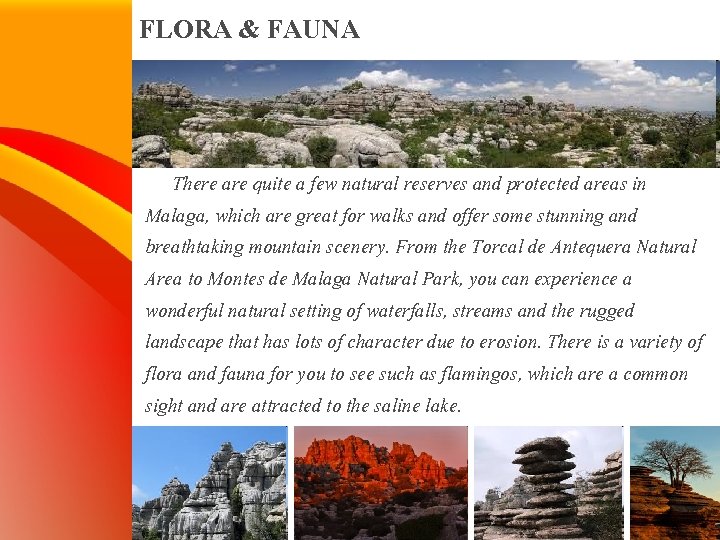 FLORA & FAUNA There are quite a few natural reserves and protected areas in