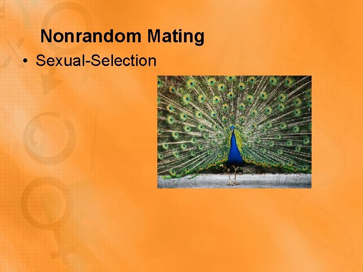 Nonrandom Mating • Sexual-Selection 