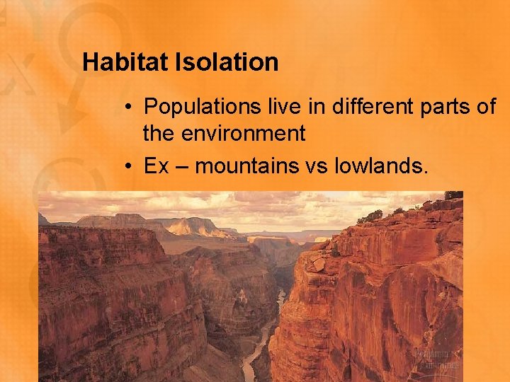 Habitat Isolation • Populations live in different parts of the environment • Ex –