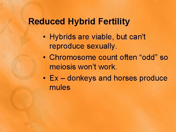 Reduced Hybrid Fertility • Hybrids are viable, but can't reproduce sexually. • Chromosome count