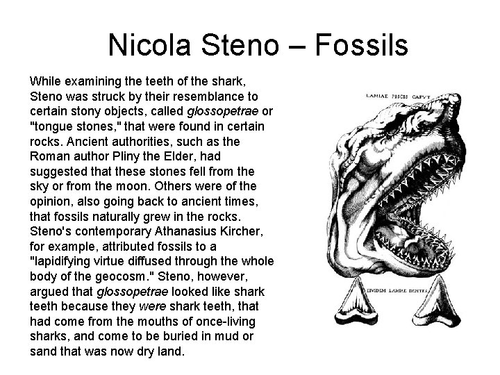 Nicola Steno – Fossils While examining the teeth of the shark, Steno was struck