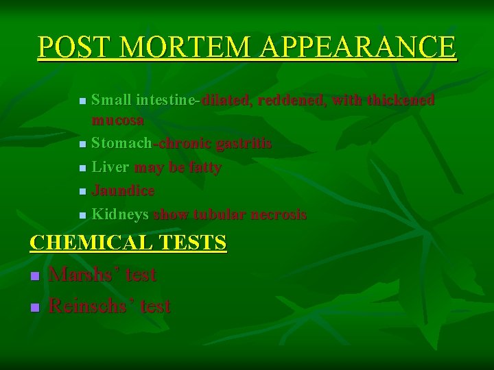 POST MORTEM APPEARANCE Small intestine-dilated, reddened, with thickened mucosa n Stomach-chronic gastritis n Liver