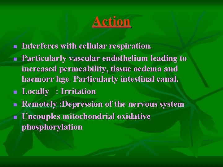 Action n n Interferes with cellular respiration. Particularly vascular endothelium leading to increased permeability,
