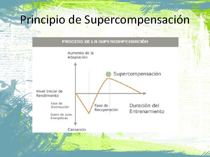 Principio de Supercompensación 