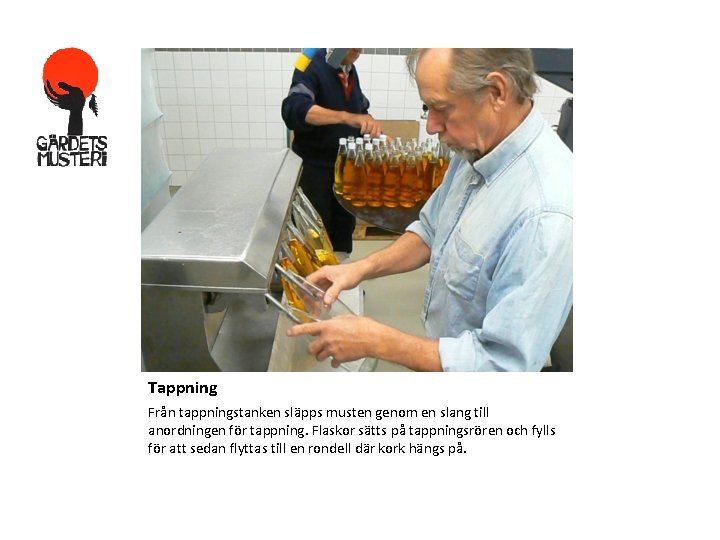 Tappning Från tappningstanken släpps musten genom en slang till anordningen för tappning. Flaskor sätts Tappning Från tappningstanken släpps musten genom en slang till anordningen för tappning. Flaskor sätts