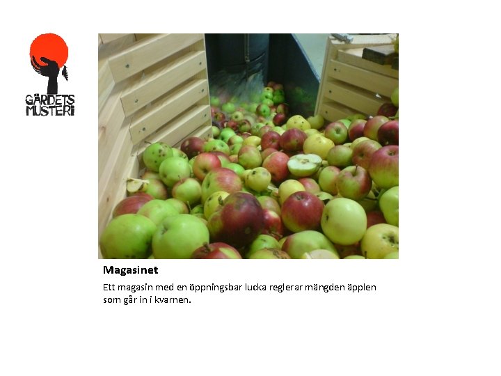 Magasinet Ett magasin med en öppningsbar lucka reglerar mängden äpplen som går in i