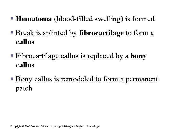 Repair of Bone Fractures § Hematoma (blood-filled swelling) is formed § Break is splinted