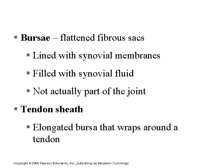 Structures Associated with the Synovial Joint § Bursae – flattened fibrous sacs § Lined