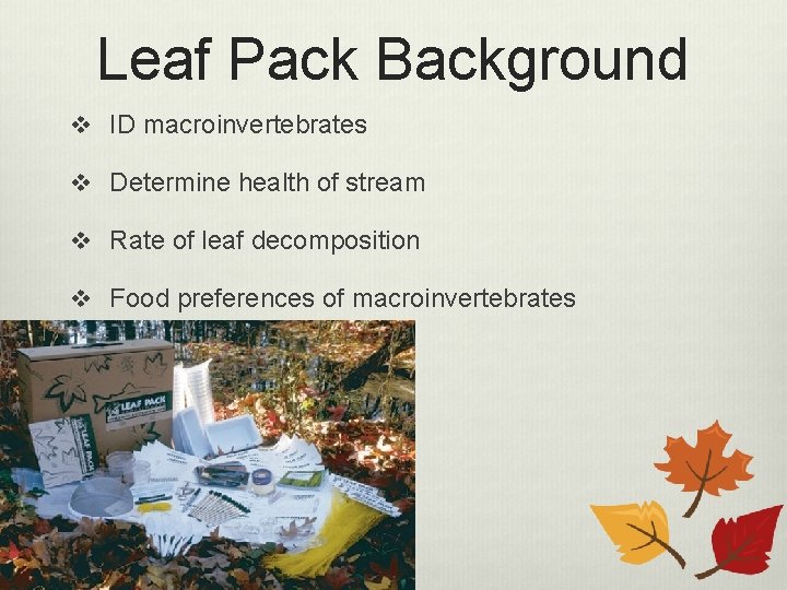 Leaf Pack Background v ID macroinvertebrates v Determine health of stream v Rate of