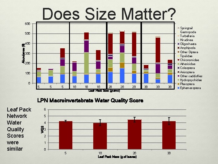 Does Size Matter? 600 Abundance (#) 500 400 300 200 100 0 5 5