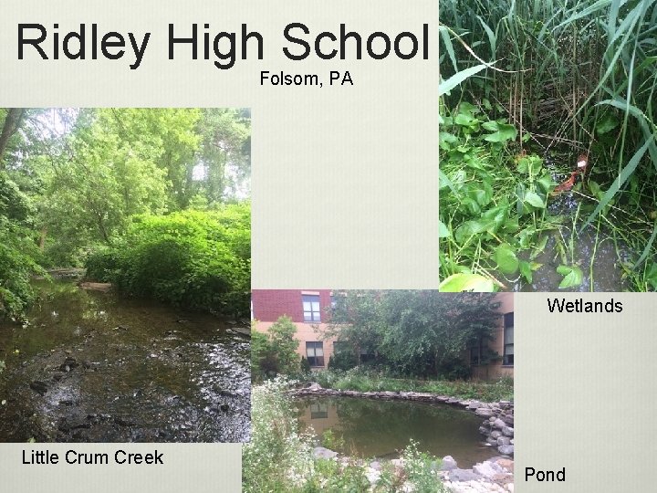 Ridley High School Folsom, PA Wetlands Little Crum Creek Pond 