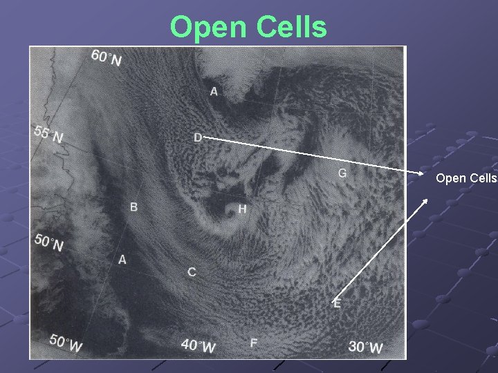 Open Cells 