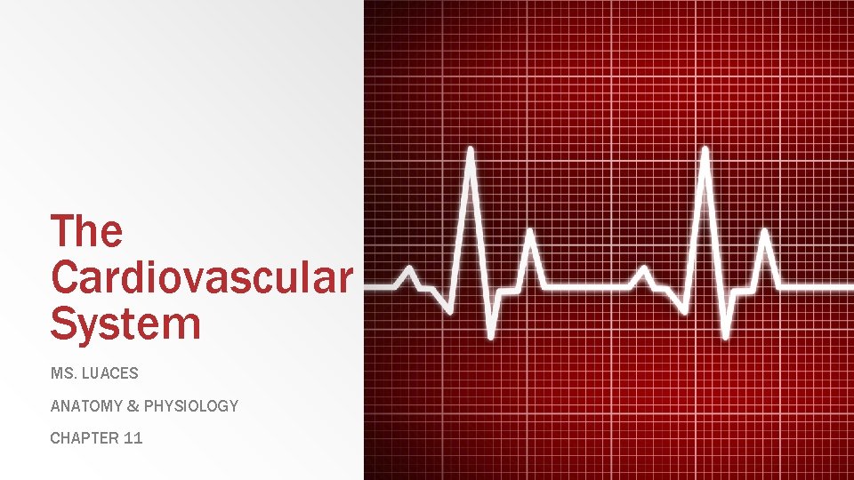 The Cardiovascular System MS. LUACES ANATOMY & PHYSIOLOGY CHAPTER 11 