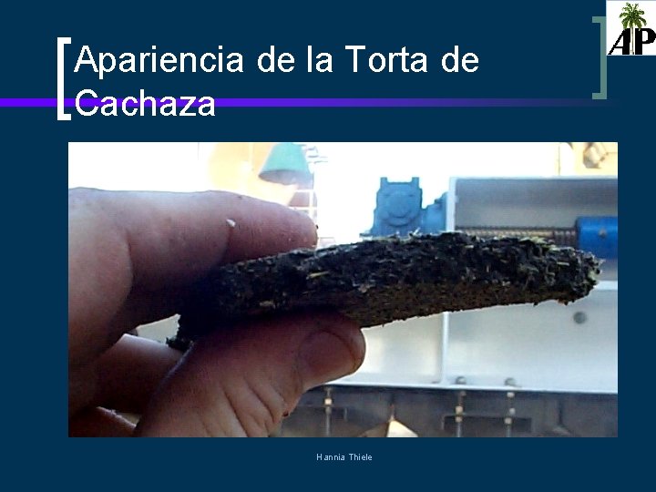 Apariencia de la Torta de Cachaza Hannia Thiele 