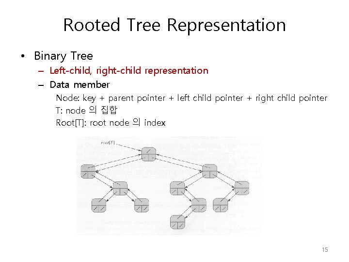 Rooted Tree Representation • Binary Tree – Left-child, right-child representation – Data member Node: