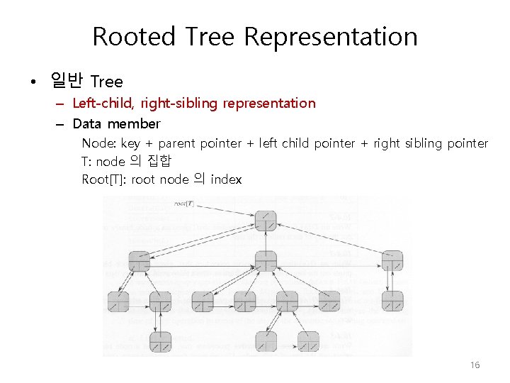 Rooted Tree Representation • 일반 Tree – Left-child, right-sibling representation – Data member Node: