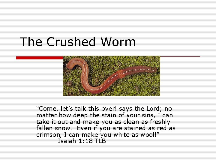 The Crushed Worm “Come, let’s talk this over! says the Lord; no matter how
