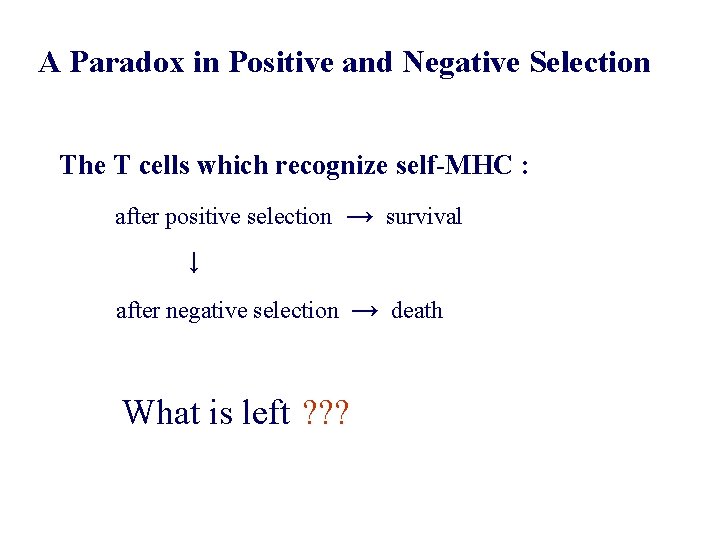 A Paradox in Positive and Negative Selection The T cells which recognize self-MHC :