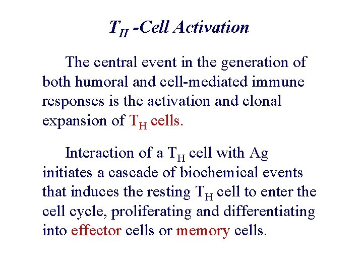 TH -Cell Activation The central event in the generation of both humoral and cell-mediated