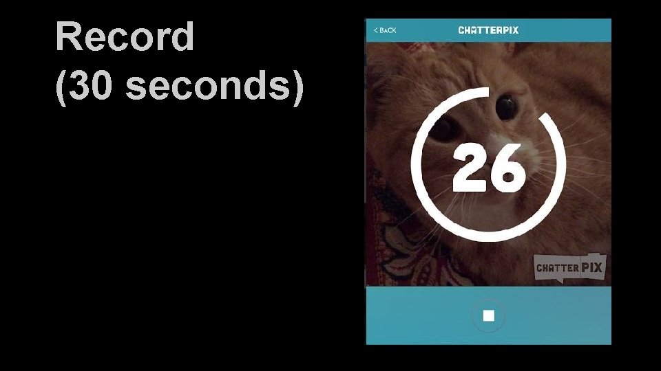 Record (30 seconds) 