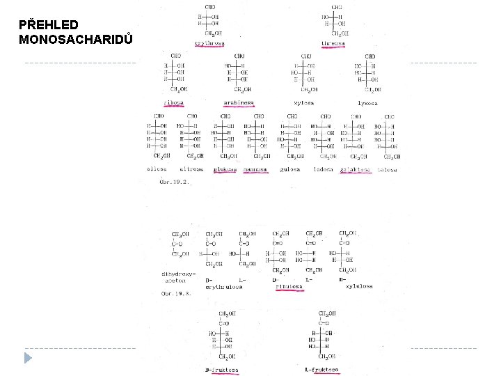 PŘEHLED MONOSACHARIDŮ 