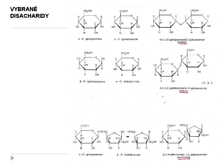 VYBRANÉ DISACHARIDY 