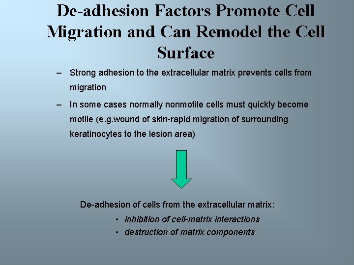 De-adhesion Factors Promote Cell Migration and Can Remodel the Cell Surface – Strong adhesion