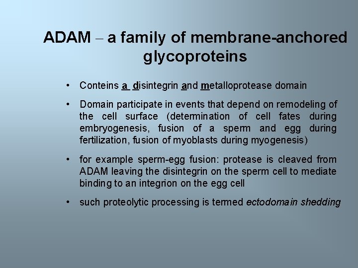 ADAM – a family of membrane-anchored glycoproteins • Conteins a disintegrin and metalloprotease domain
