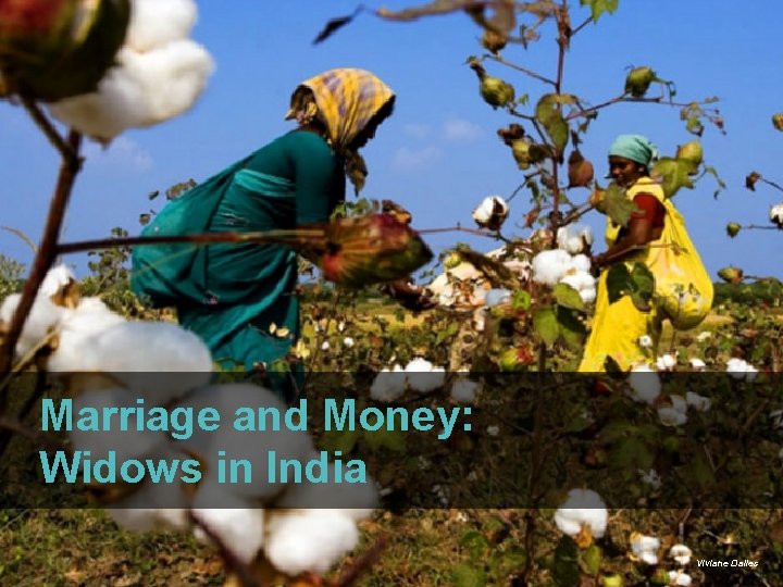 Marriage and Money: Current Conditions Widows in India Viviane Dalles 