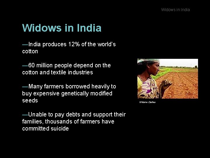 Widows in India —India produces 12% of the world’s cotton — 60 million people