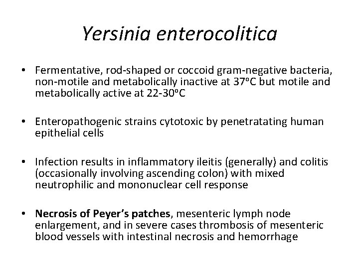 Yersinia enterocolitica • Fermentative, rod-shaped or coccoid gram-negative bacteria, non-motile and metabolically inactive at