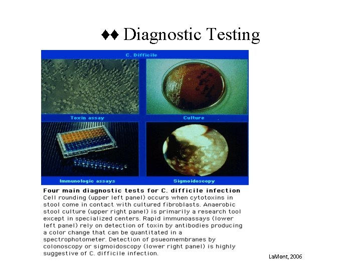 ♦♦ Diagnostic Testing La. Mont, 2006 