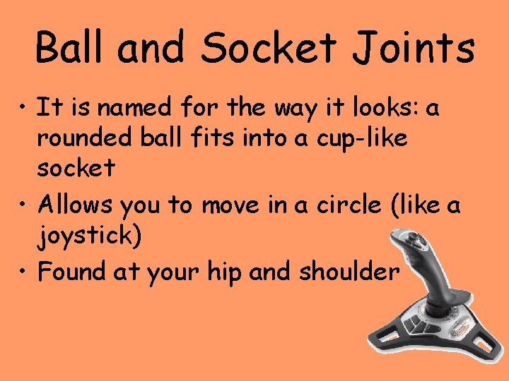 Ball and Socket Joints • It is named for the way it looks: a