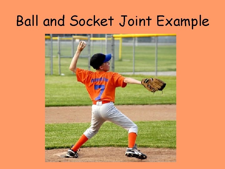 Ball and Socket Joint Example 
