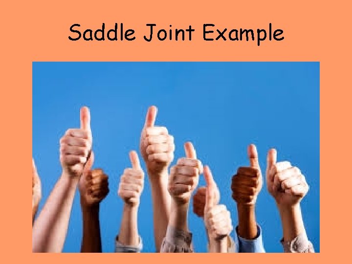 Saddle Joint Example 