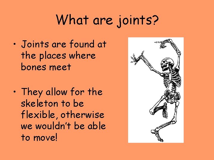 What are joints? • Joints are found at the places where bones meet •