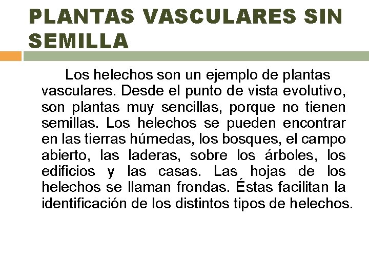 PLANTAS VASCULARES SIN SEMILLA Los helechos son un ejemplo de plantas vasculares. Desde el