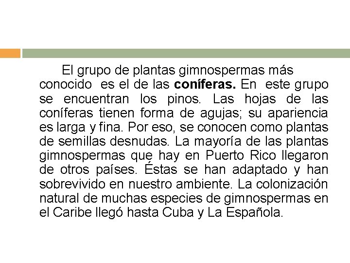 El grupo de plantas gimnospermas más conocido es el de las coníferas. En este