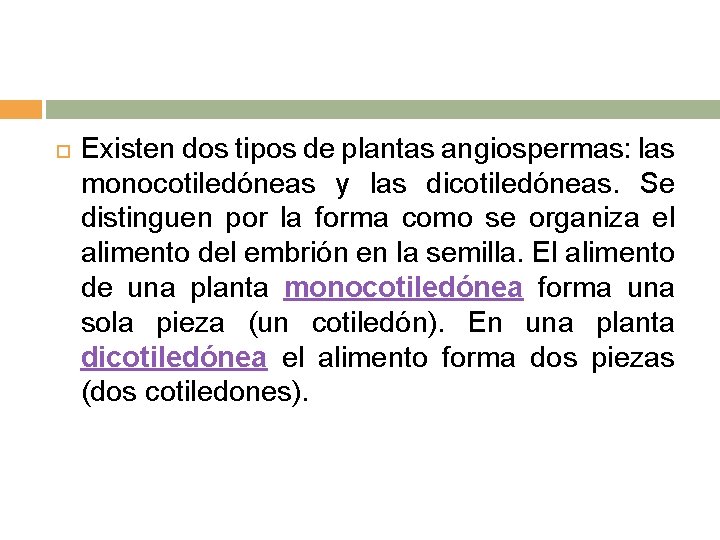  Existen dos tipos de plantas angiospermas: las monocotiledóneas y las dicotiledóneas. Se distinguen