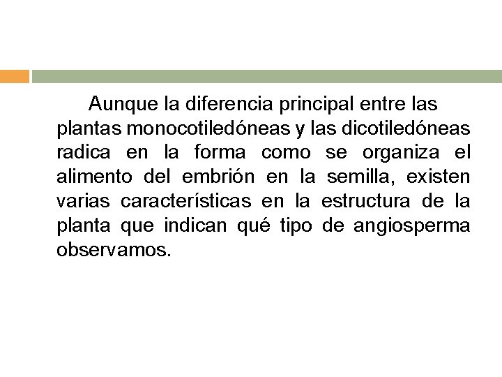 Aunque la diferencia principal entre las plantas monocotiledóneas y las dicotiledóneas radica en la