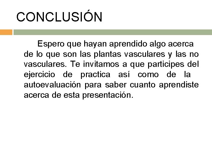 CONCLUSIÓN Espero que hayan aprendido algo acerca de lo que son las plantas vasculares