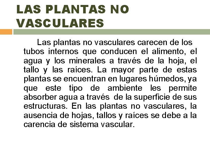 LAS PLANTAS NO VASCULARES Las plantas no vasculares carecen de los tubos internos que